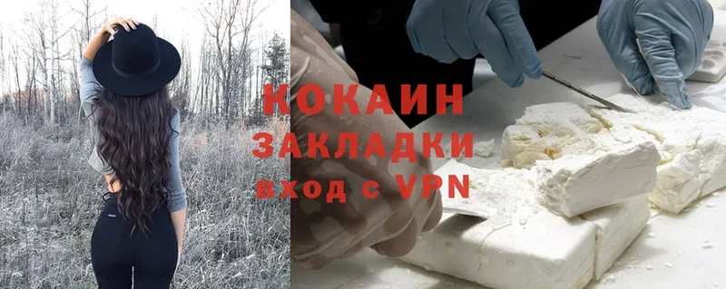 darknet формула  Петропавловск-Камчатский  Cocaine Fish Scale  как найти закладки 