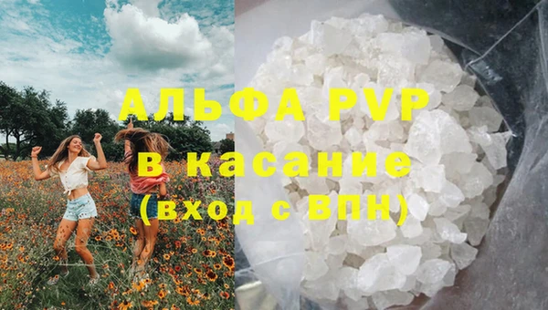 ешки Новозыбков