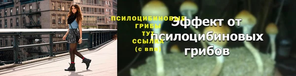 ешки Новозыбков