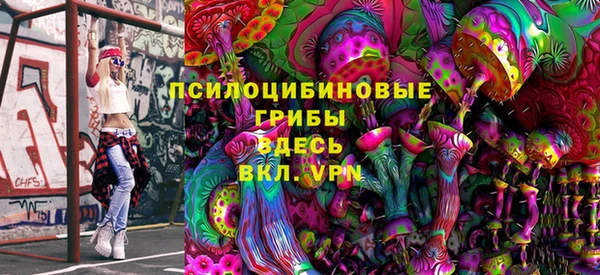 ешки Новозыбков