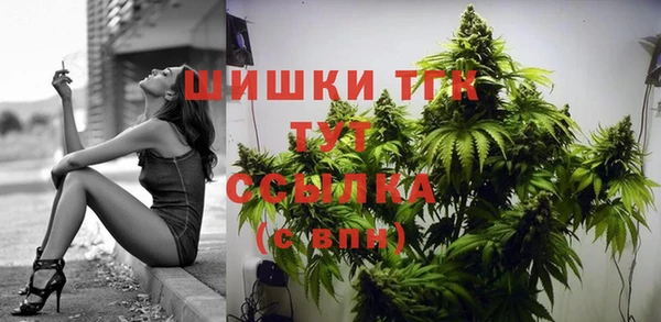 ешки Новозыбков