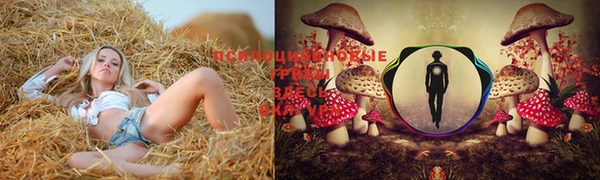 мескалин Новодвинск