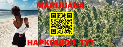 крисы Балаково