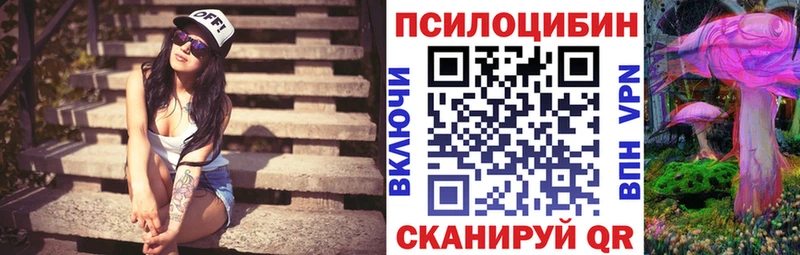 Псилоцибиновые грибы мухоморы  где купить   Петропавловск-Камчатский 