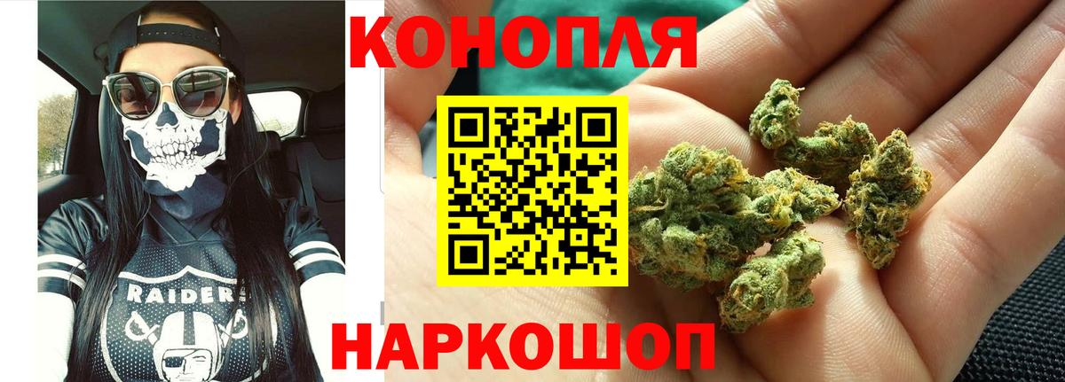 Каннабис сатива  Конопля LSD WEED  Конопля THC 21%  Петропавловск-Камчатский  Канабис ГИДРОПОН 